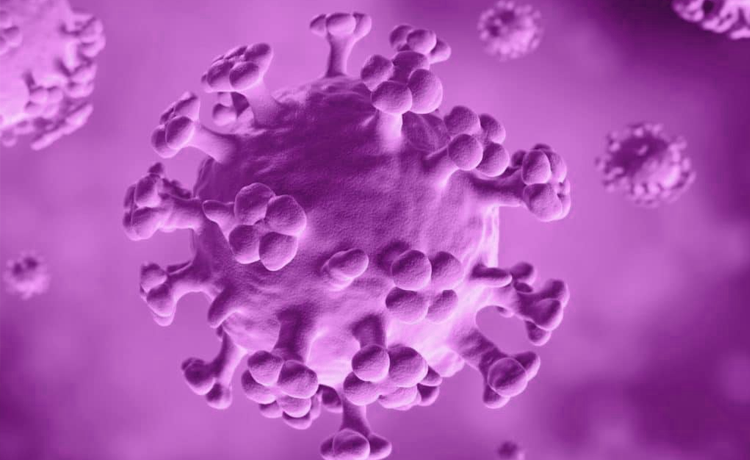 Genital Siğil Kansere Dönüşür mü?