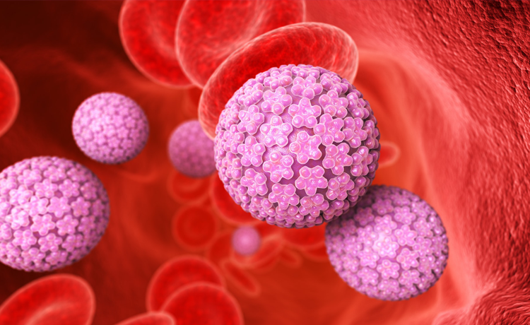 Genital Siğil Kanar mı?