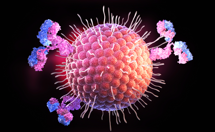 HSV (Uçuk Hastalığı) Hakkında Sıkça Sorulan Sorular