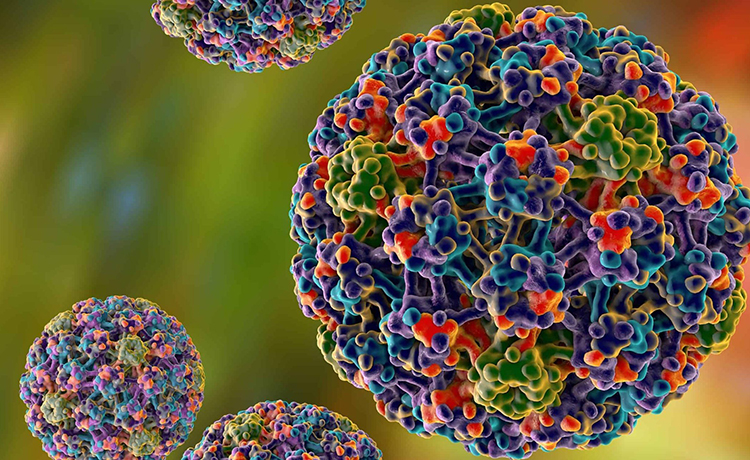 HPV Nasıl İnfeksiyona Sebep Olur?