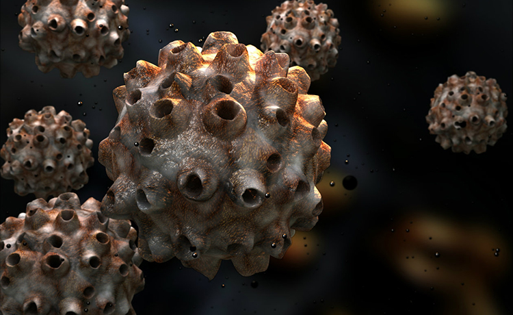 E6 ve E7 Proteinlerinin Kanser Gelişimindeki Rolü Nedir?