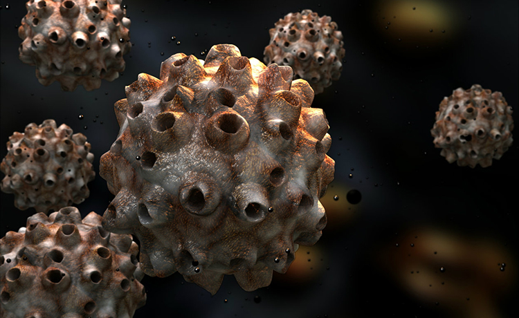 Ağız ve Gırtlak dışında Baş ve Boyun Kanserlerinde HPV’nin Rolü Var mıdır?