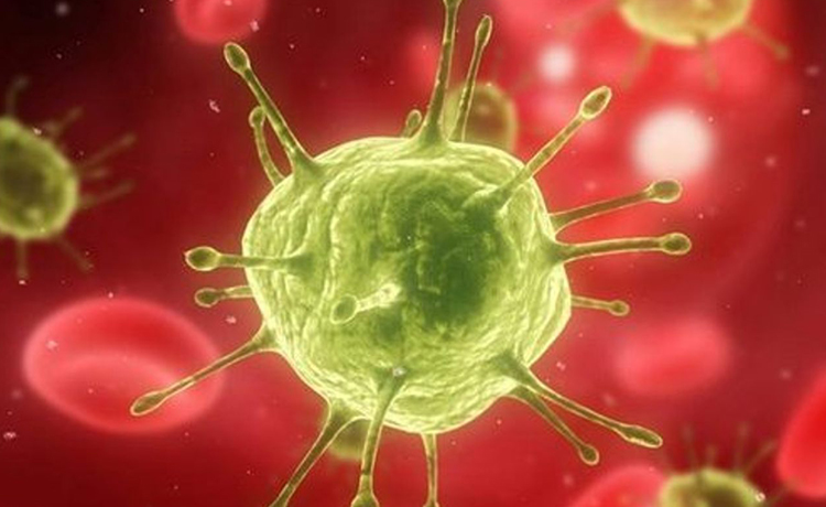 CIN Oluşmasının Sebepleri Nelerdir?