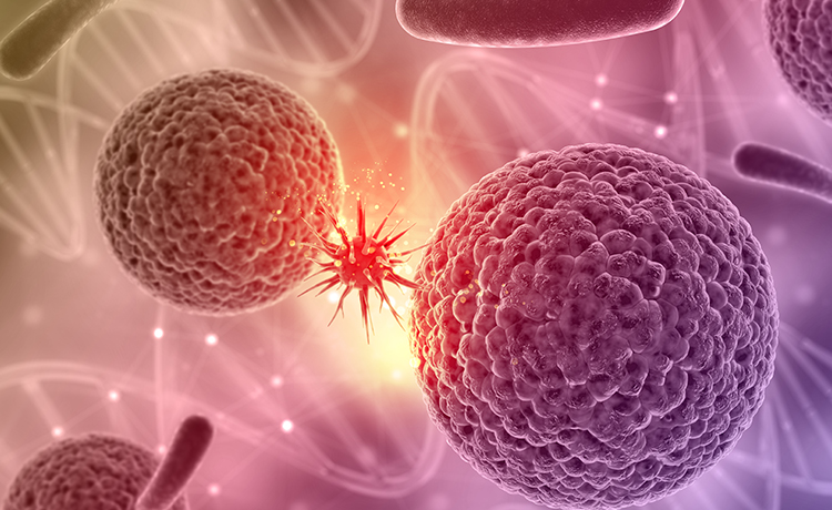 HPV Penis Kanserine Sebep Olur mu?