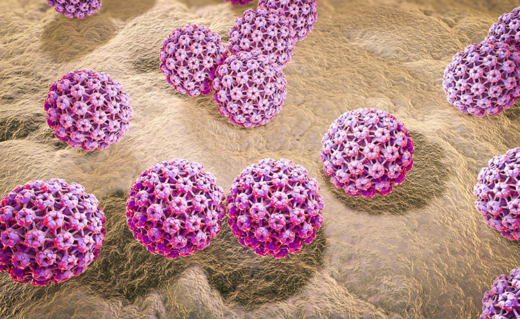 Penis Kanseri Hangi Sebeplerle Ortaya Çıkar?