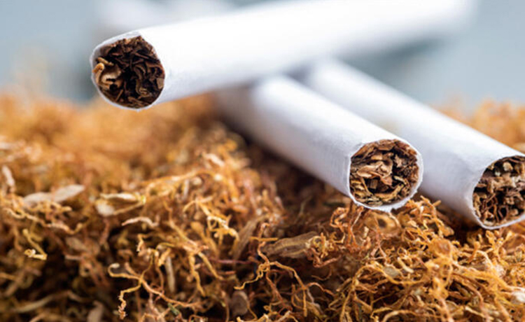 Penis Kanseri için Risk Faktörleri Nelerdir?